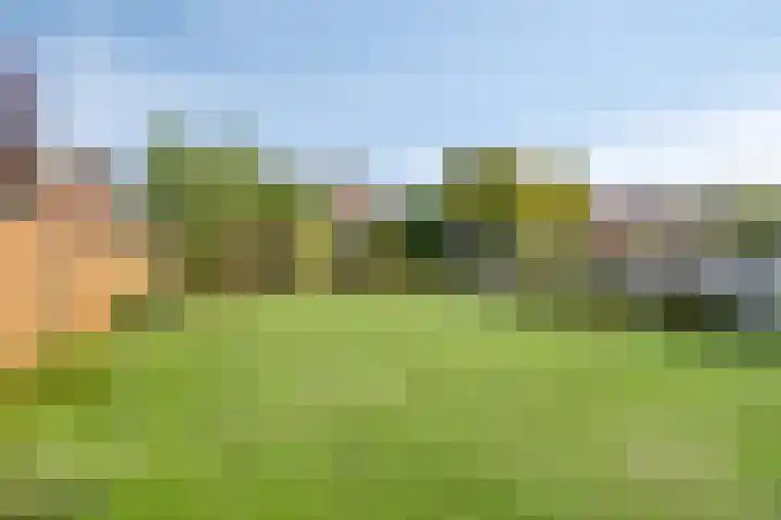 Hoevensestraat 26 Wanroij thumbnail 36