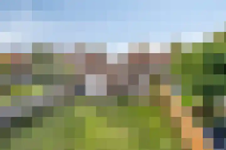 Hoevensestraat 26 Wanroij thumbnail 39