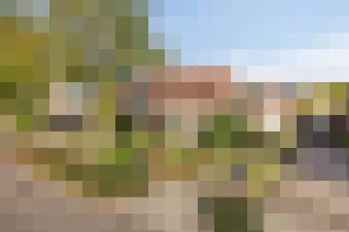 Hoevensestraat 26 Wanroij thumbnail 42
