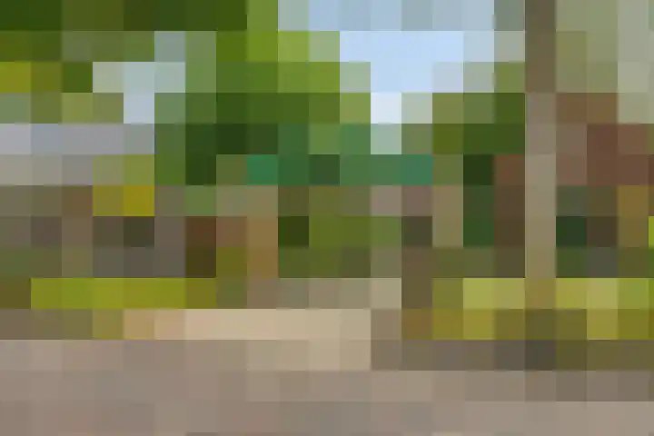 Hoevensestraat 26 Wanroij thumbnail 44
