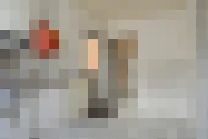 Hoevensestraat 8 Wanroij thumbnail 18