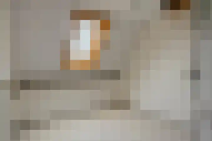 Hoevensestraat 8 Wanroij thumbnail 27