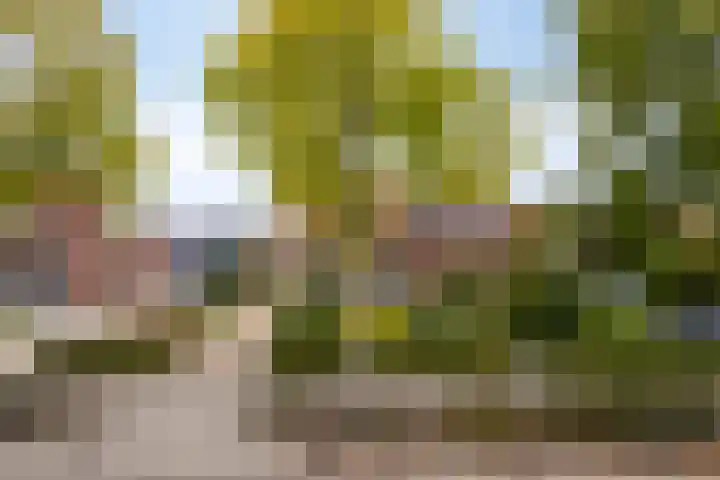 Hoevensestraat 8 Wanroij thumbnail 4