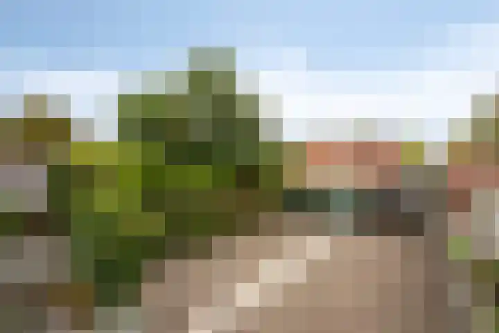 Hoevensestraat 8 Wanroij thumbnail 40