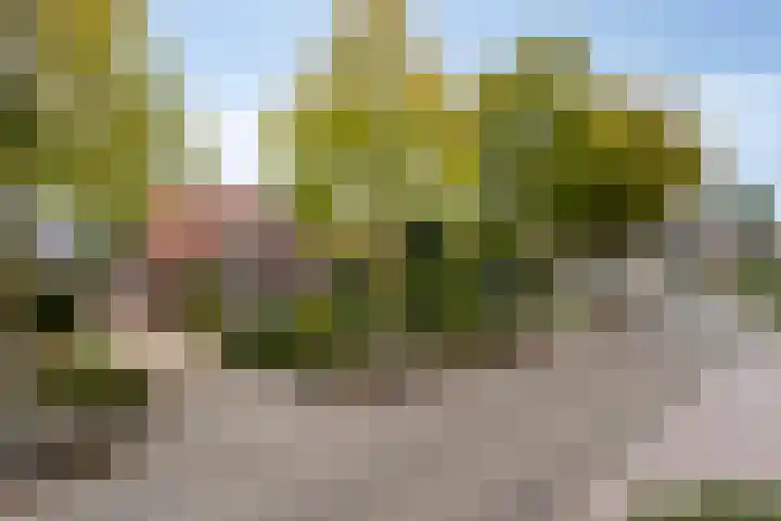 Hoevensestraat 8 Wanroij thumbnail 42