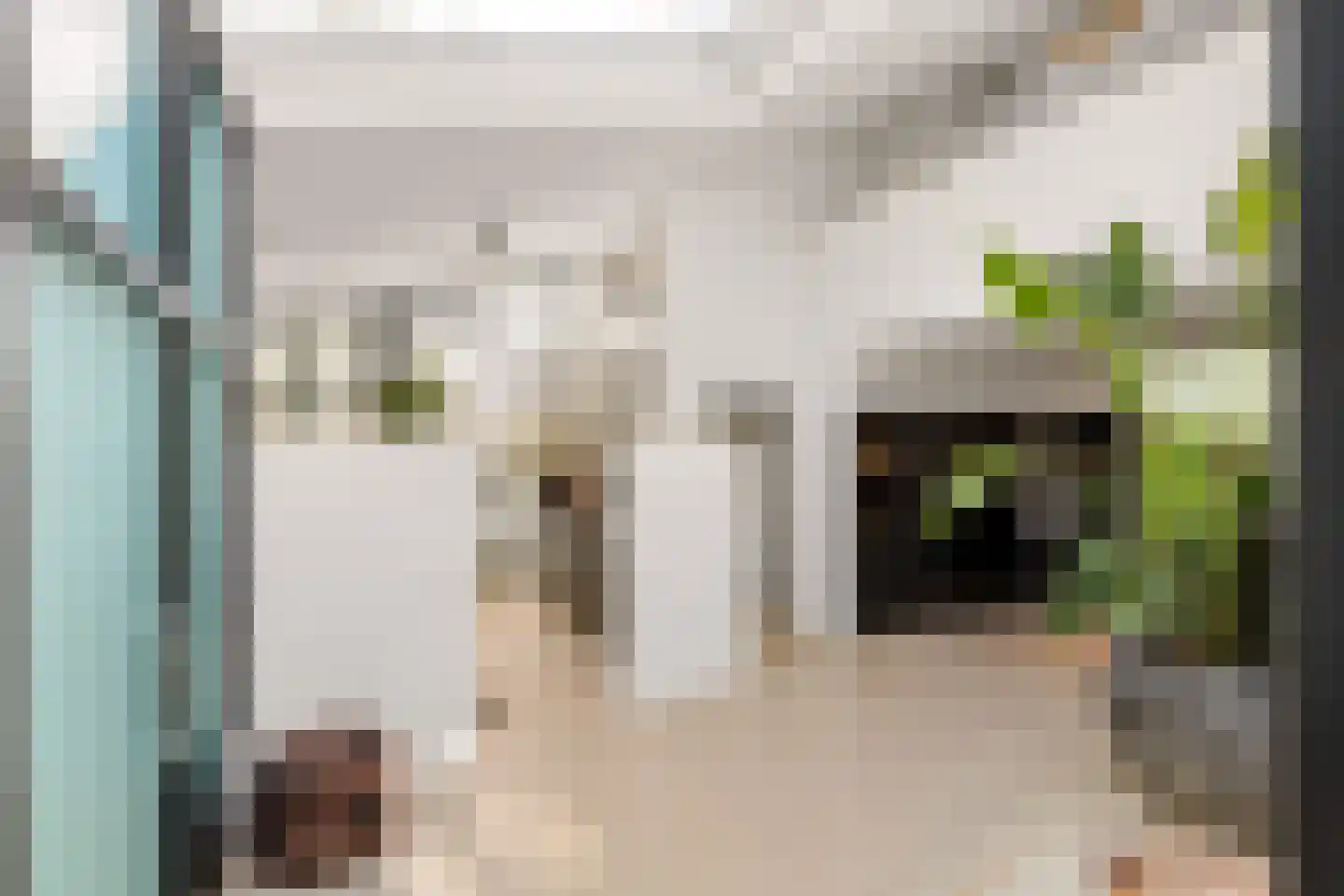 Hoevenseweg 2 Uden thumbnail 10