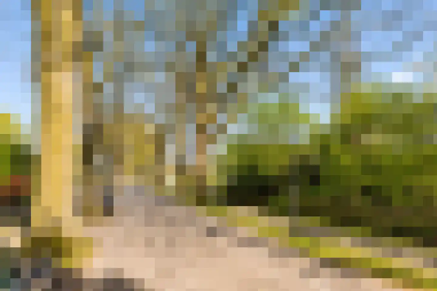 Hoevenseweg 2 Uden thumbnail 104