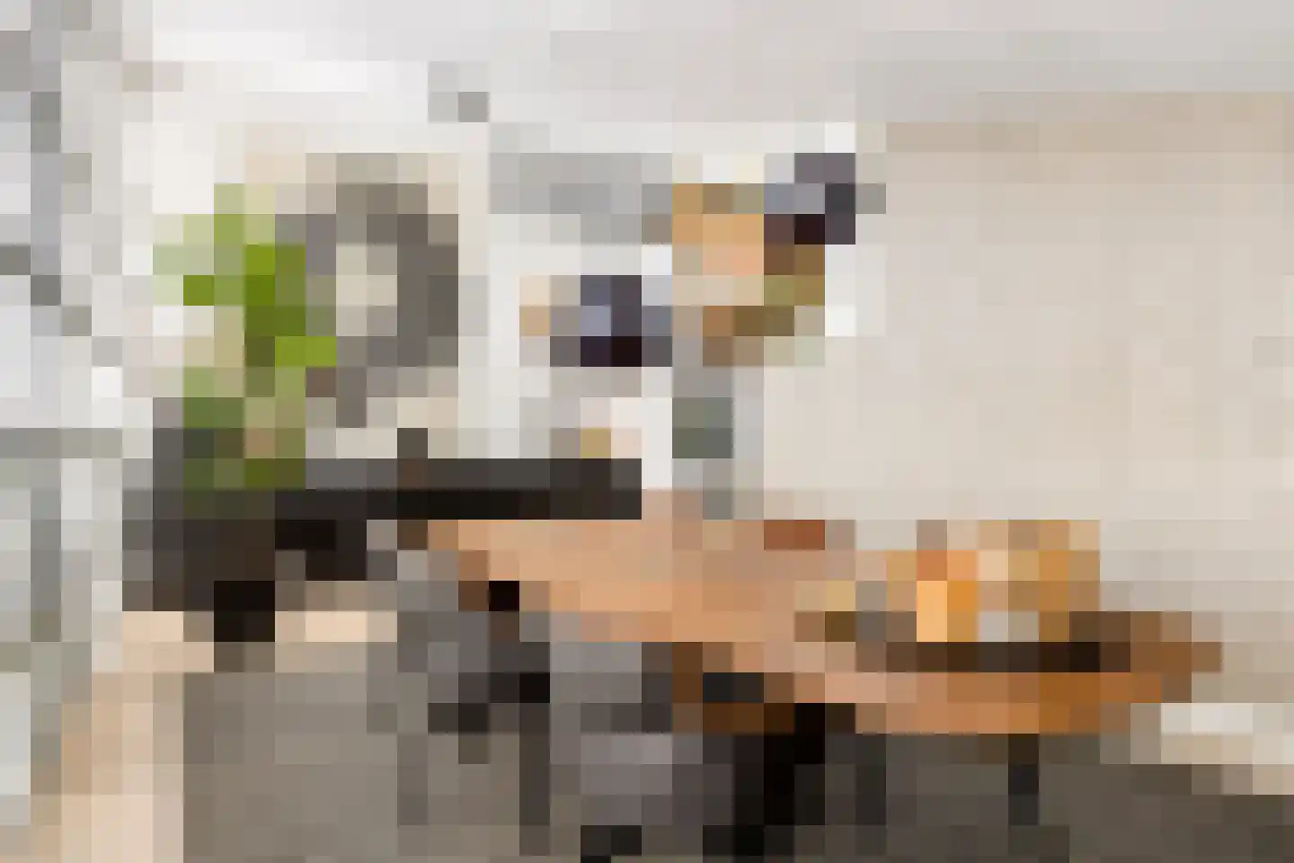 Hoevenseweg 2 Uden thumbnail 13