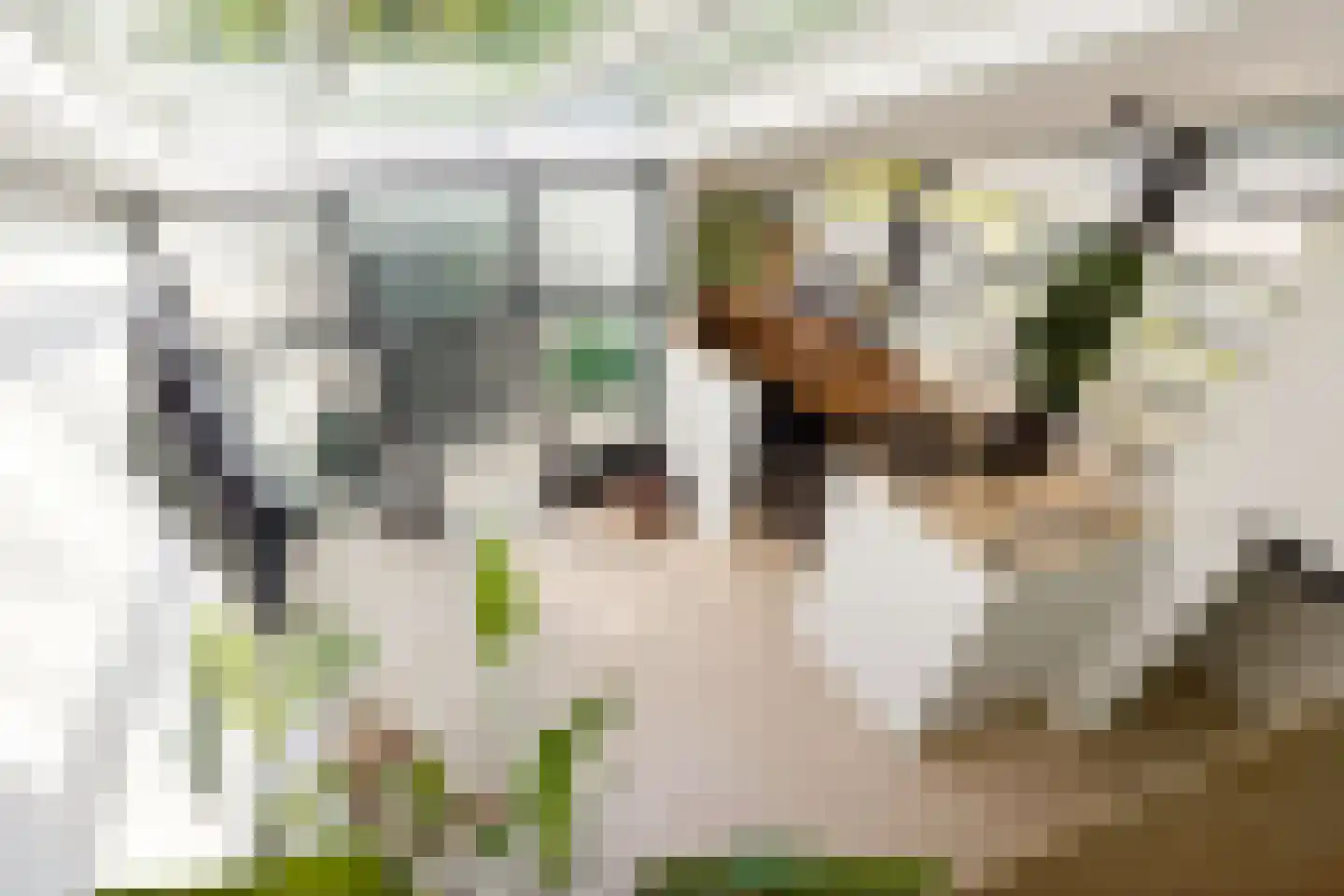 Hoevenseweg 2 Uden thumbnail 15