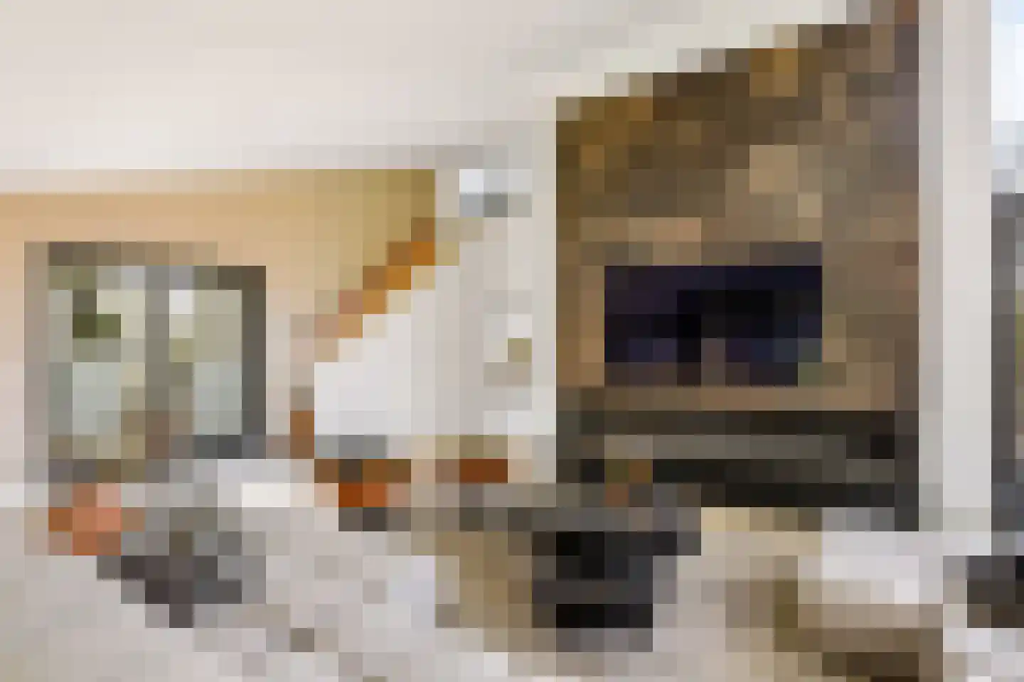 Hoevenseweg 2 Uden thumbnail 20