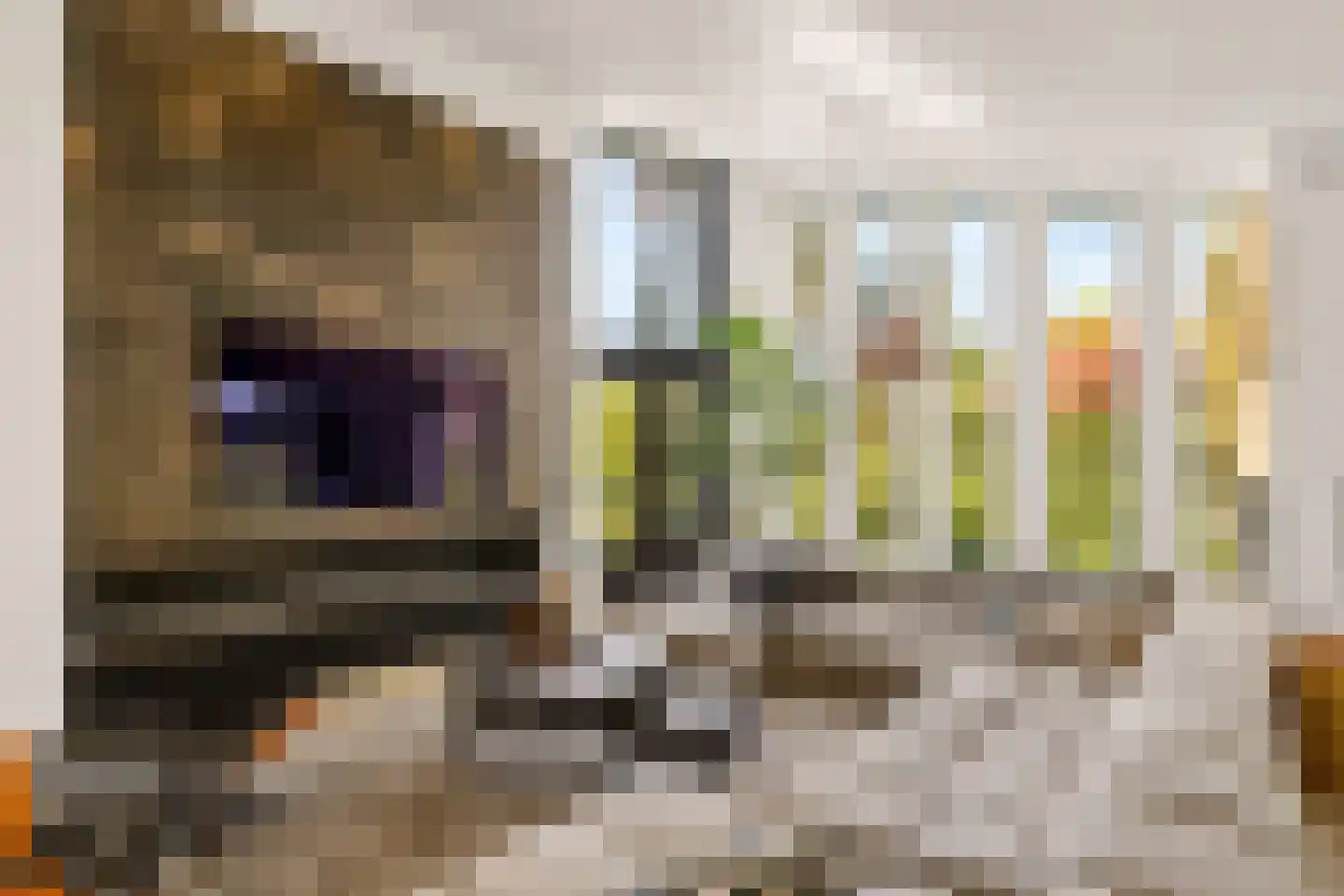 Hoevenseweg 2 Uden thumbnail 23