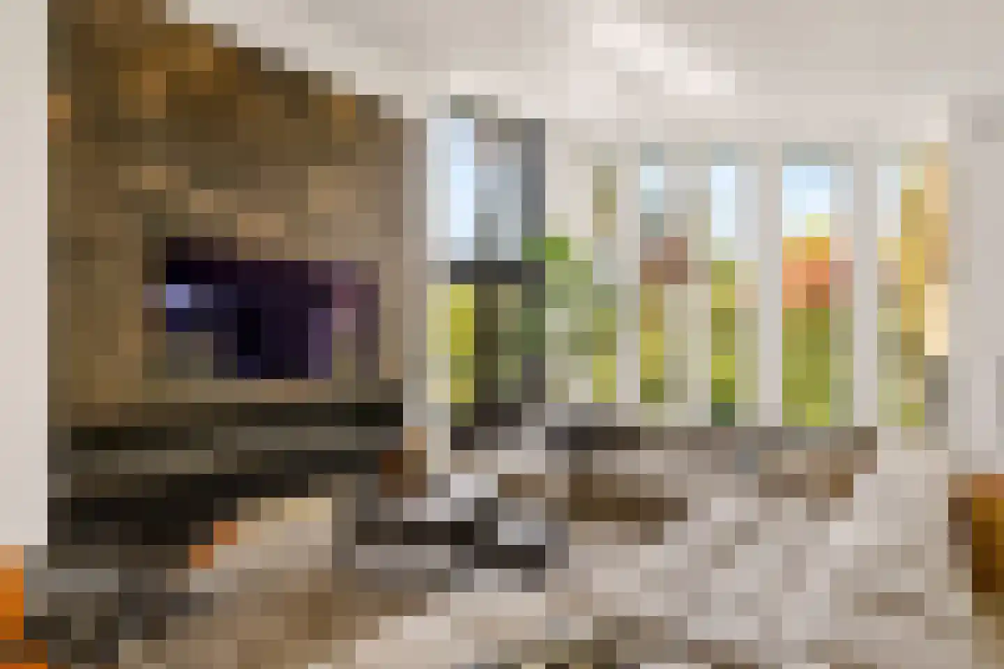 Hoevenseweg 2 Uden thumbnail 23