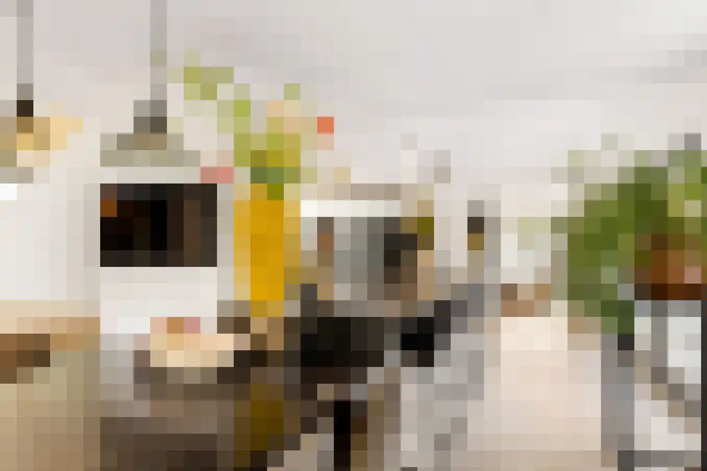 Hoevenseweg 2 Uden thumbnail 29