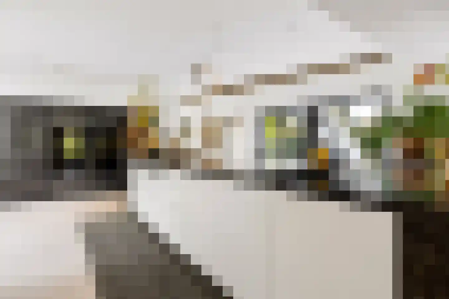 Hoevenseweg 2 Uden thumbnail 30