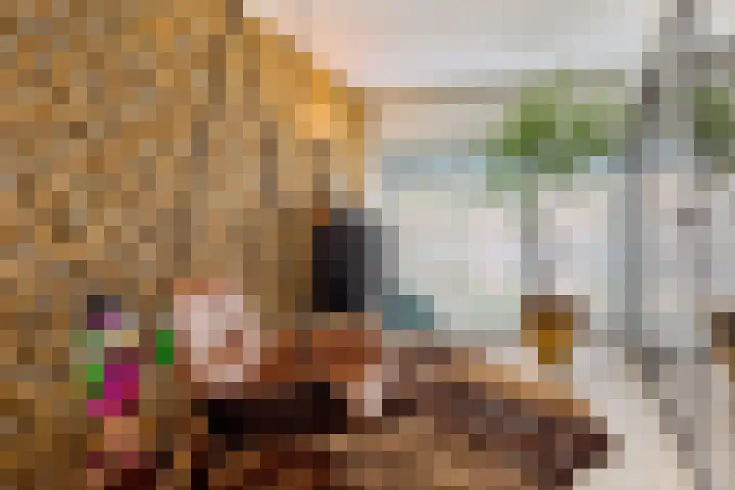 Hoevenseweg 2 Uden thumbnail 34