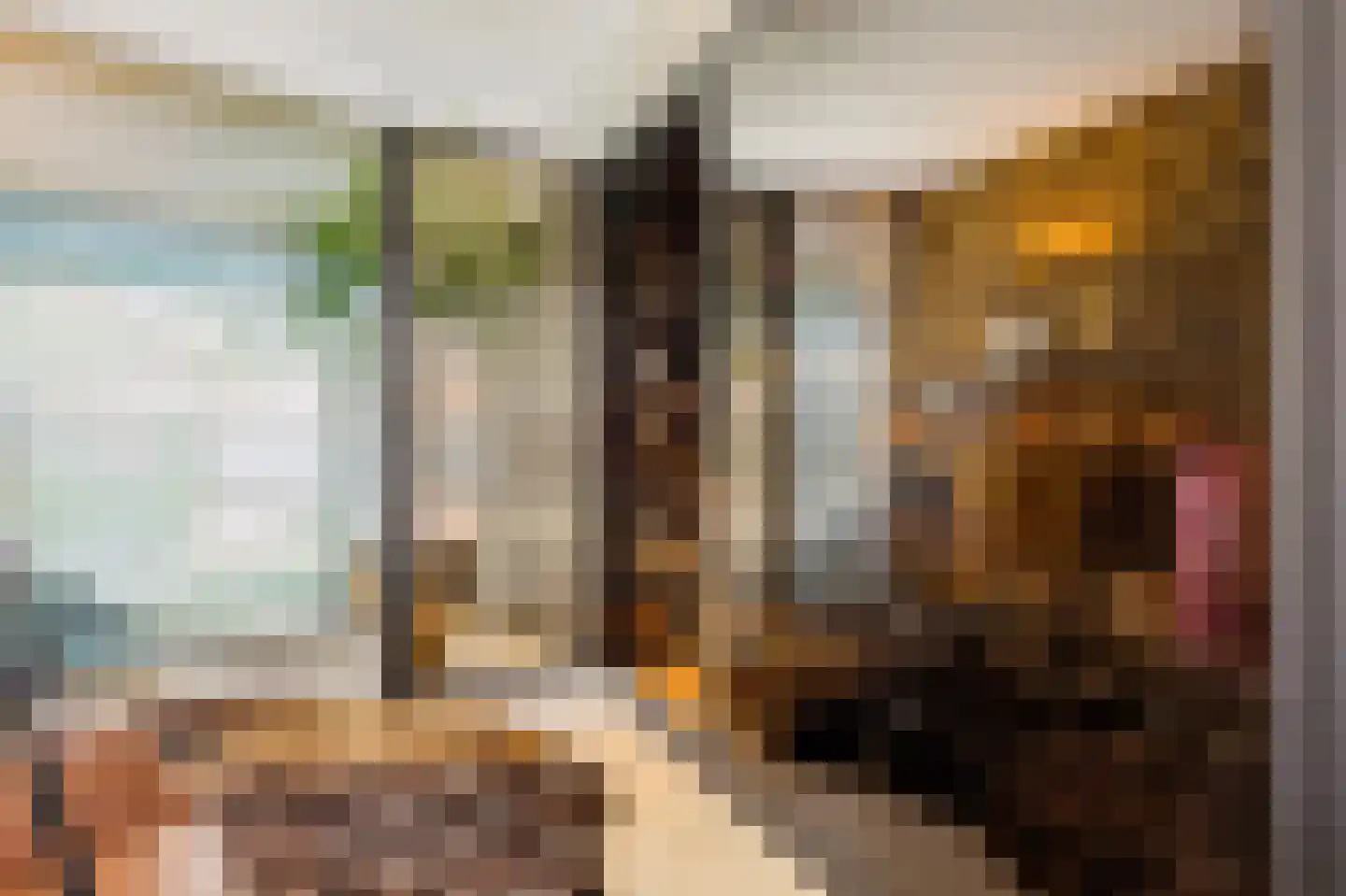 Hoevenseweg 2 Uden thumbnail 36