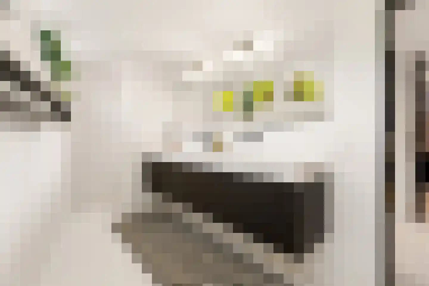 Hoevenseweg 2 Uden thumbnail 42