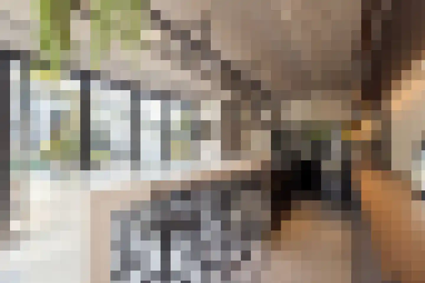 Hoevenseweg 2 Uden thumbnail 67