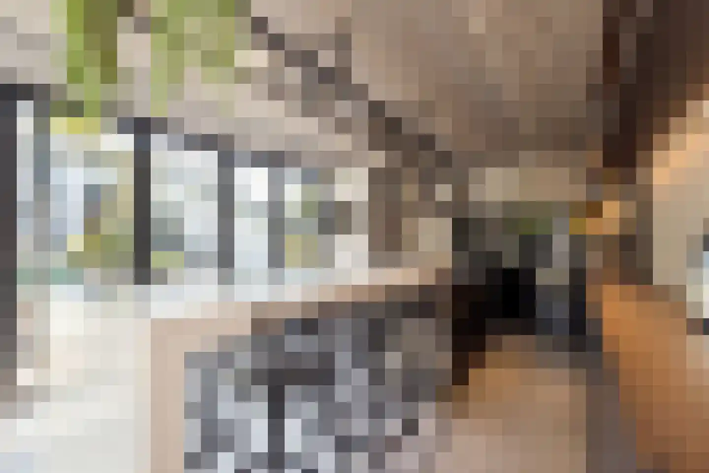 Hoevenseweg 2 Uden thumbnail 67