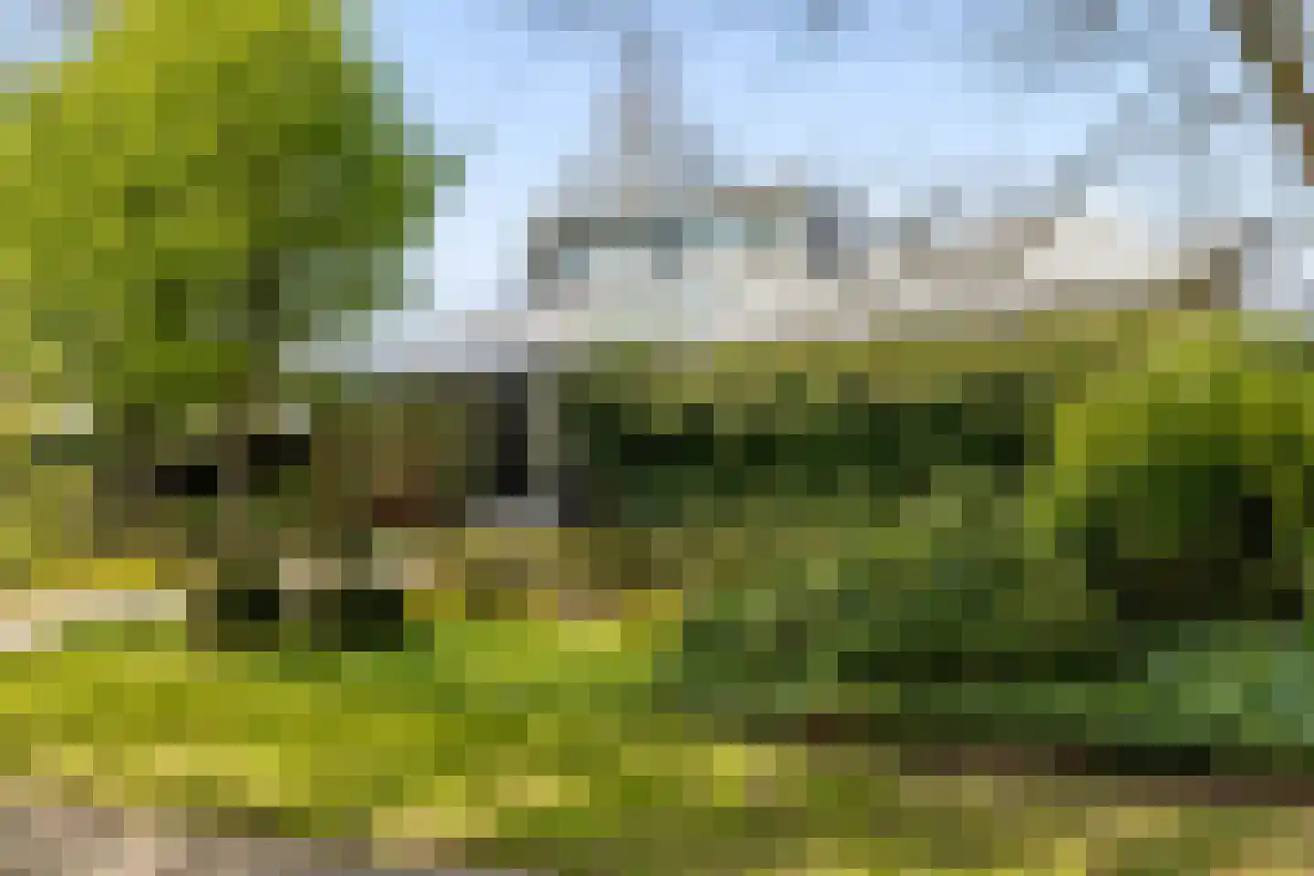 Hoevenseweg 2 Uden thumbnail 7