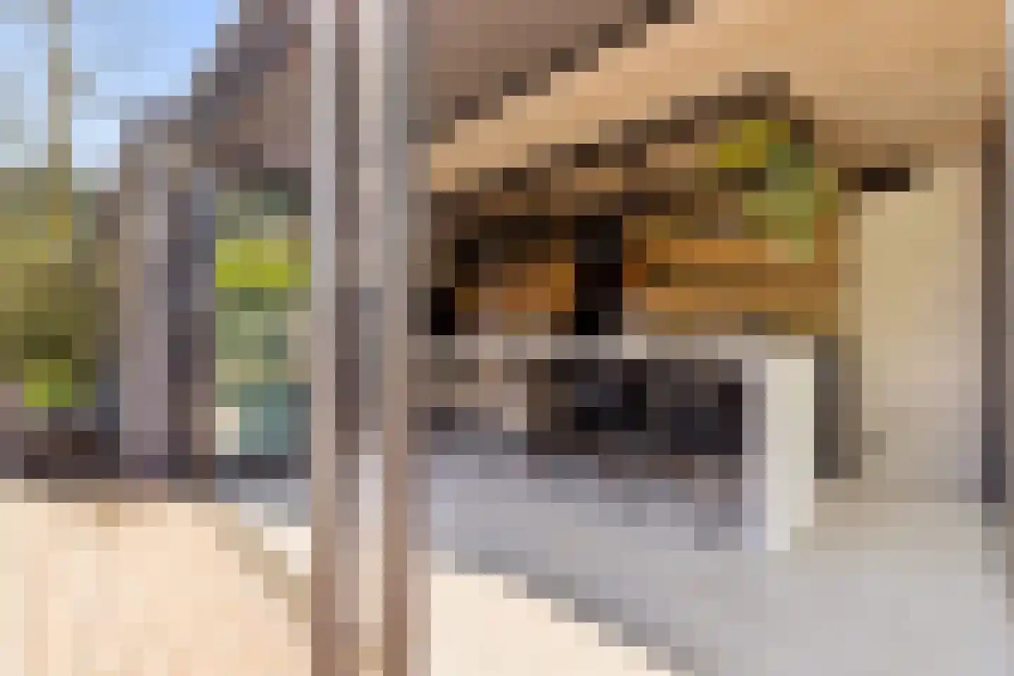 Hoevenseweg 2 Uden thumbnail 70