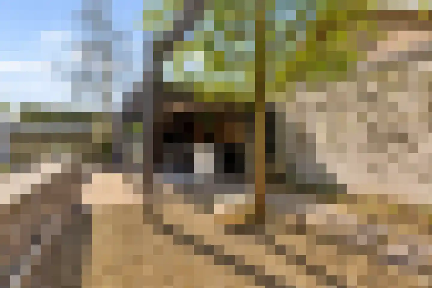 Hoevenseweg 2 Uden thumbnail 71