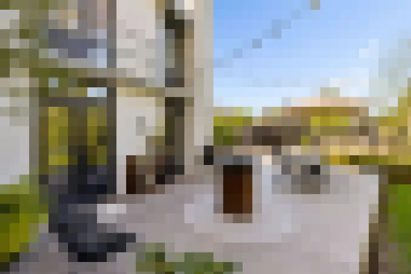 Hoevenseweg 2 Uden thumbnail 78