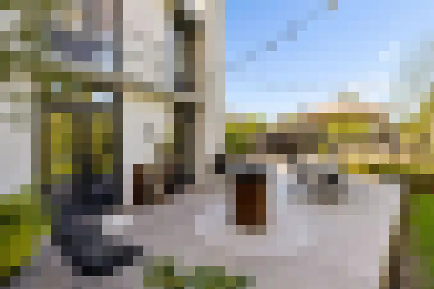 Hoevenseweg 2 Uden thumbnail 78