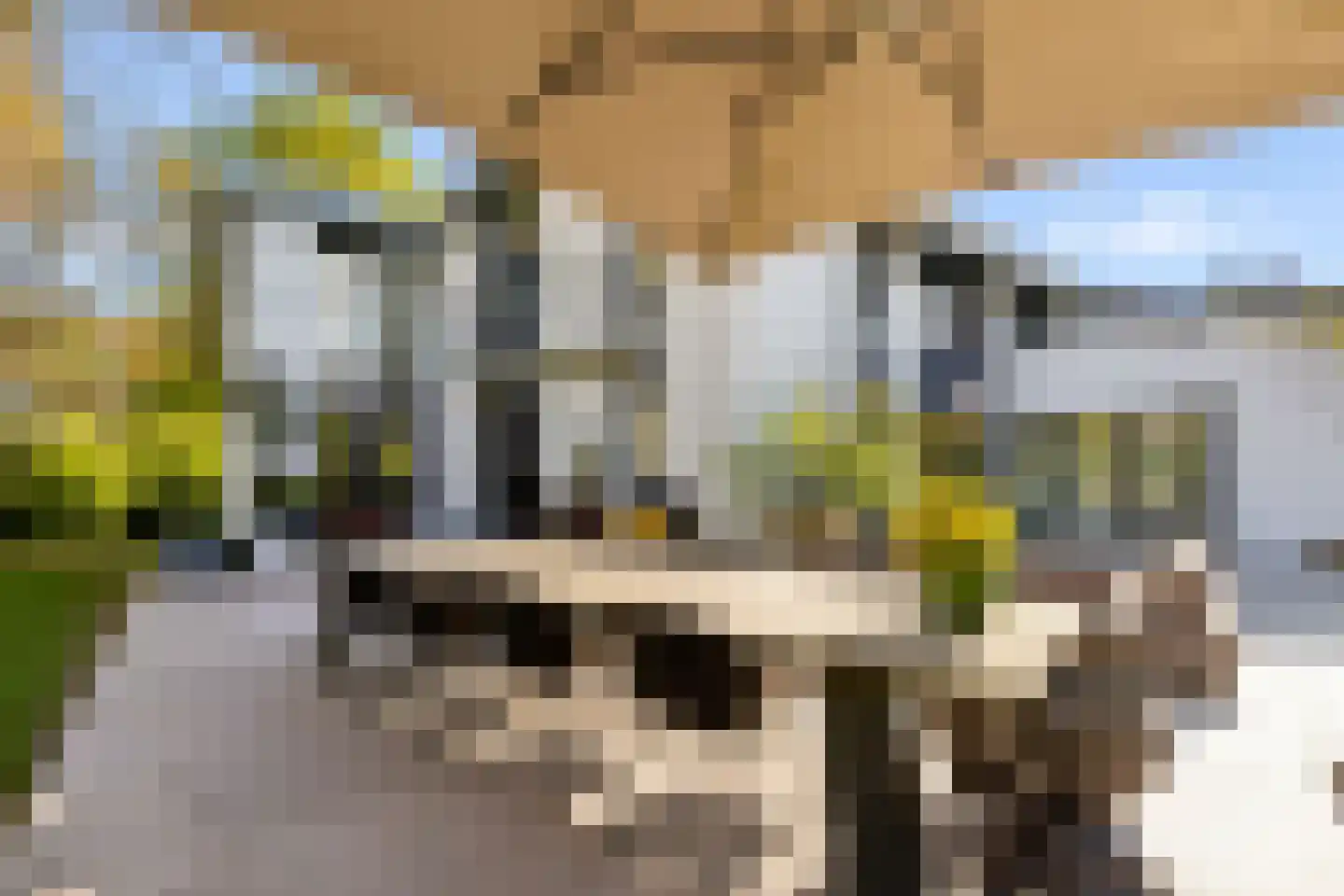 Hoevenseweg 2 Uden thumbnail 87
