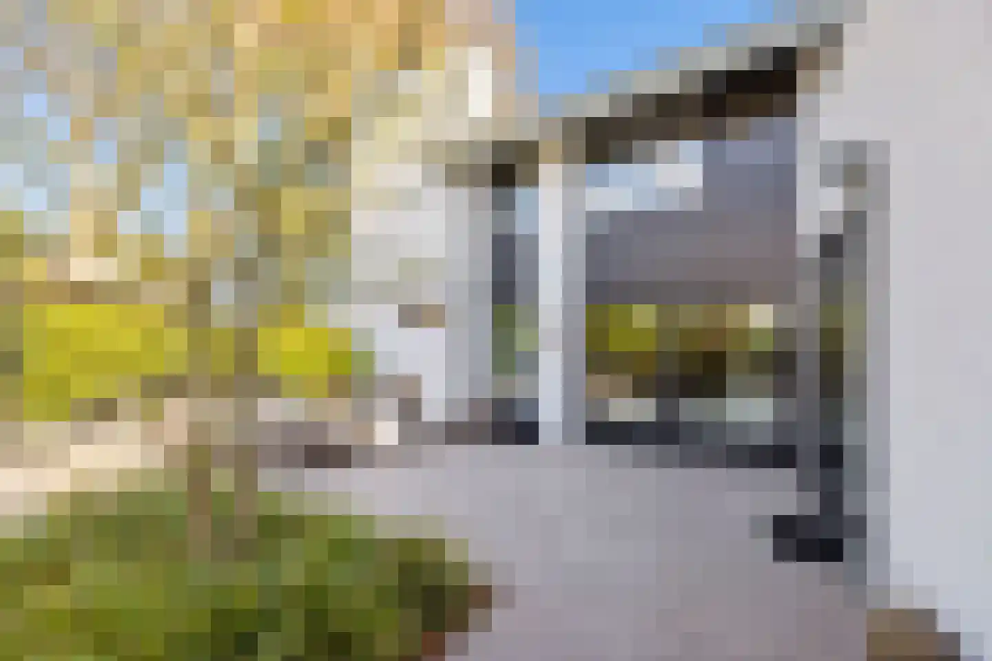 Hoevenseweg 2 Uden thumbnail 96