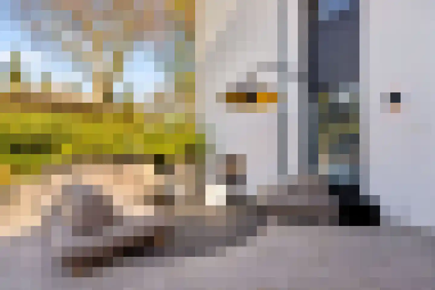 Hoevenseweg 2 Uden thumbnail 97