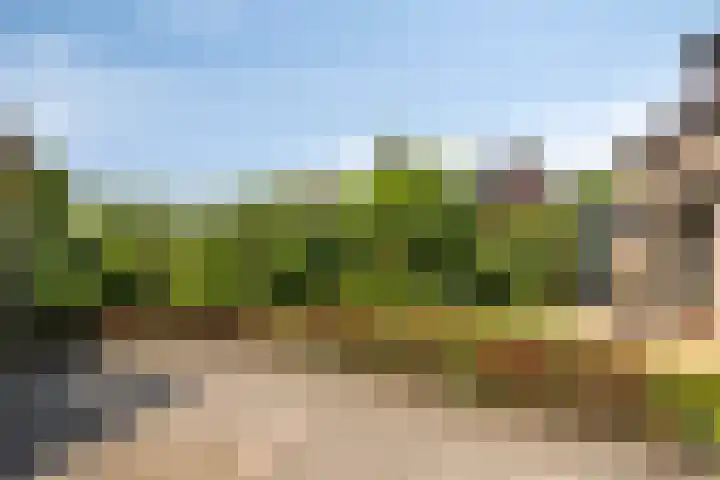 Hoevenseweg 23 A Etten-Leur thumbnail 28