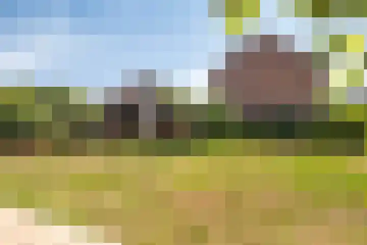 Hoevenseweg 23 A Etten-Leur thumbnail 30