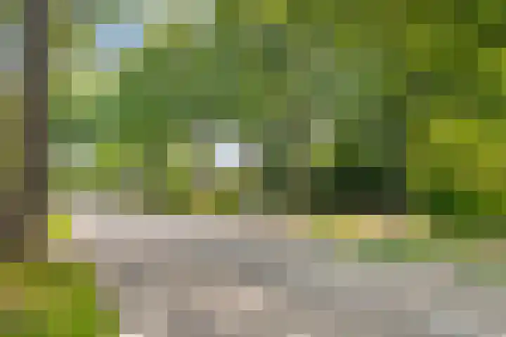 Hoevenseweg 23 A Etten-Leur thumbnail 34