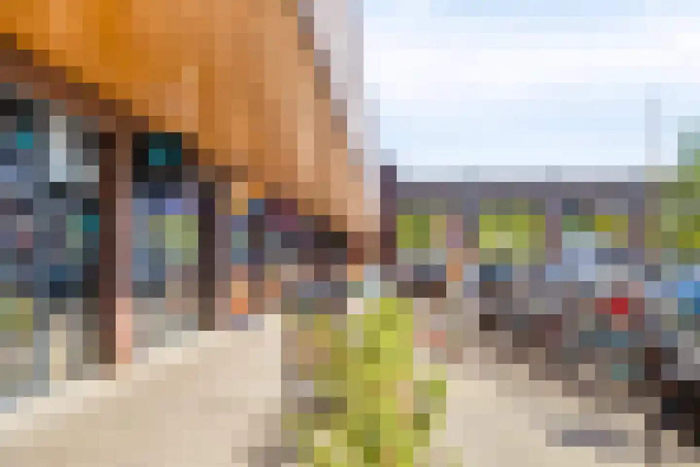 Hoevenseweg 66 Tilburg thumbnail 44