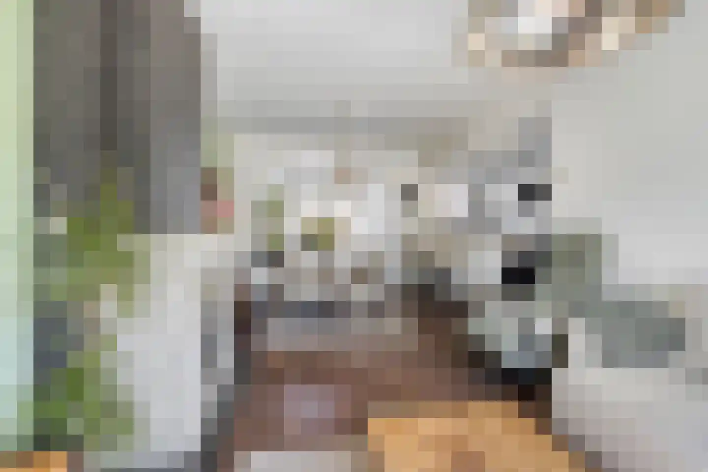 Hoevenseweg 66 Tilburg thumbnail 5