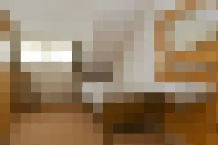 Hoevenstraat 2 Beringe thumbnail 17