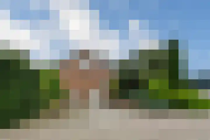 Hoevenstraat 2 Beringe thumbnail 25