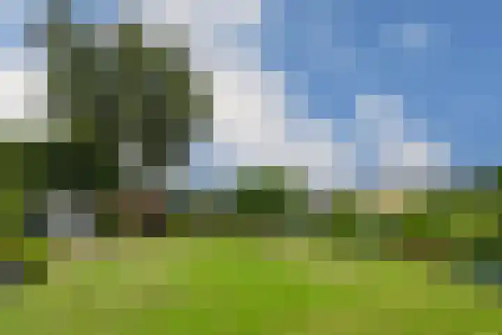 Hoevenstraat 2 Beringe thumbnail 27