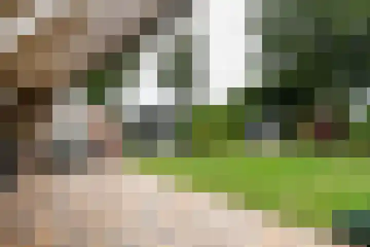 Hoevenstraat 2 Beringe thumbnail 30