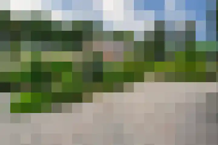 Hoevenstraat 2 Beringe thumbnail 31