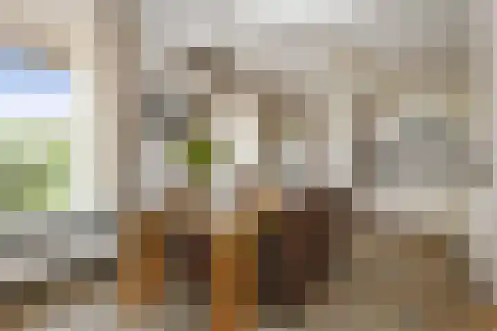 Hoevenstraat 2 Beringe thumbnail 4