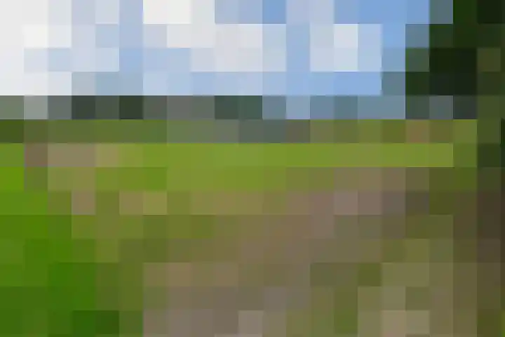 Hoevenstraat 2 Beringe thumbnail 41
