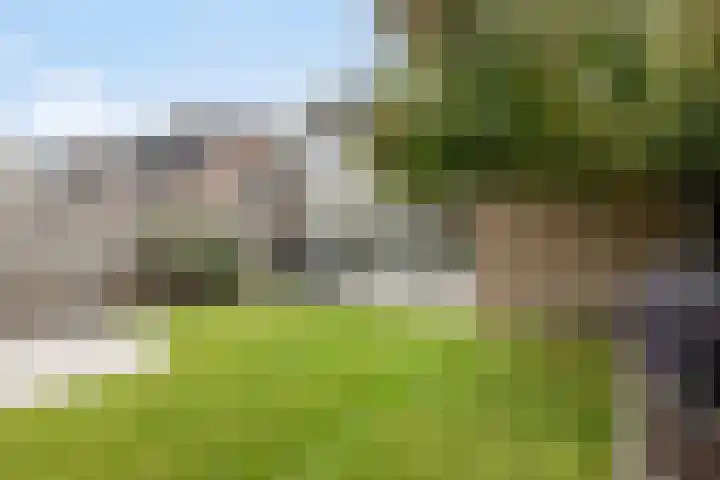 Hoevenstraat 28 Someren thumbnail 32
