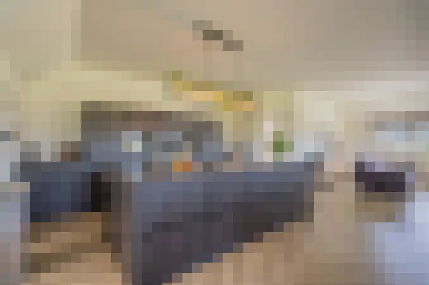 Hoevenweg 16 Dalfsen thumbnail 16