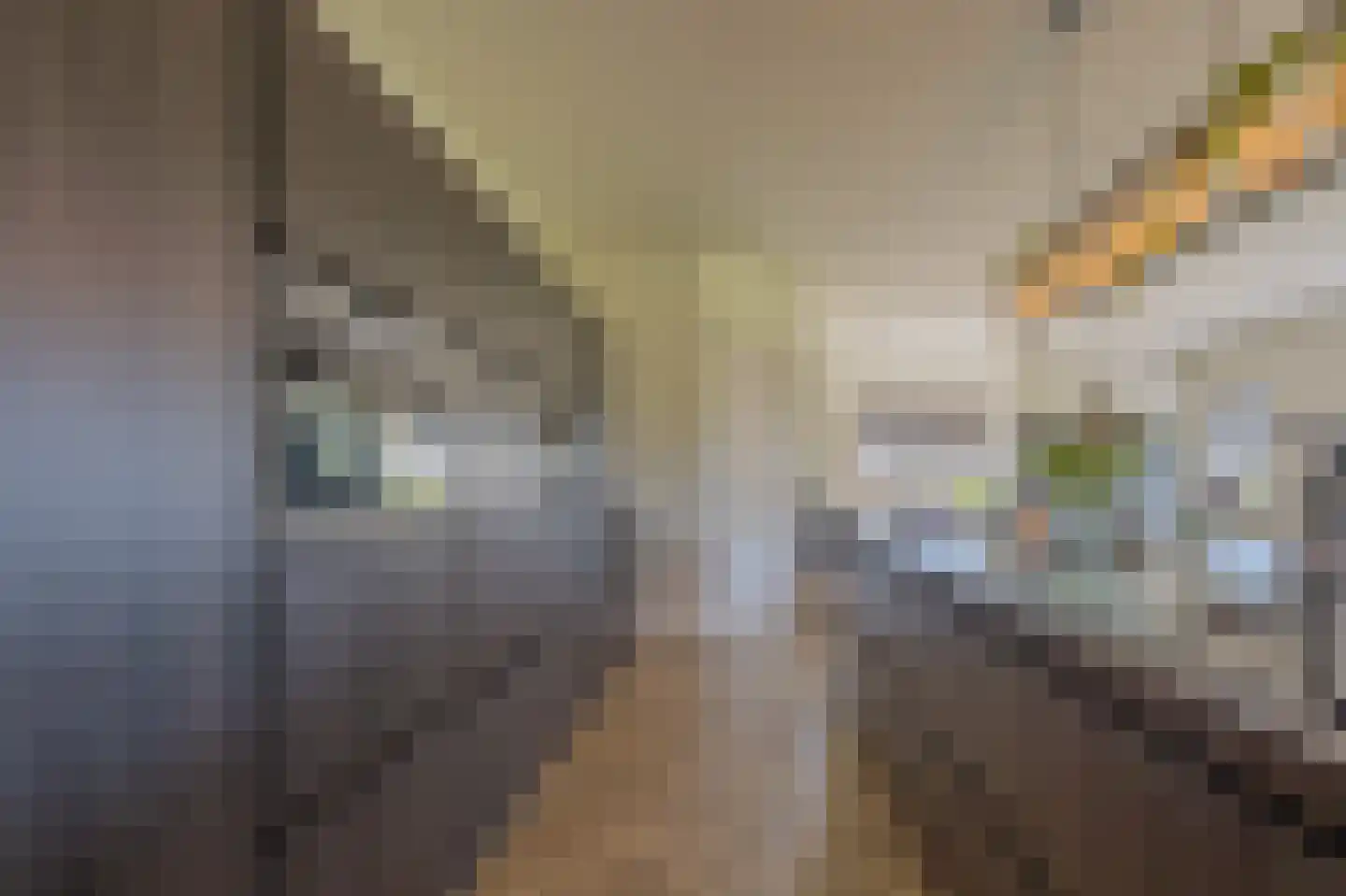 Hoevenweg 16 Dalfsen thumbnail 17