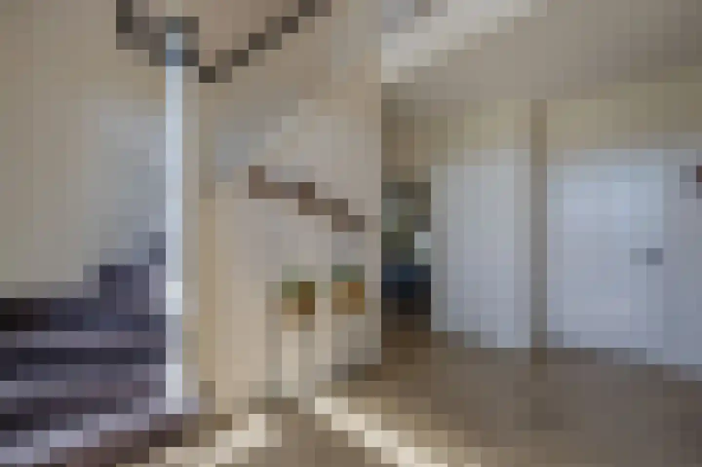 Hoevenweg 16 Dalfsen thumbnail 33