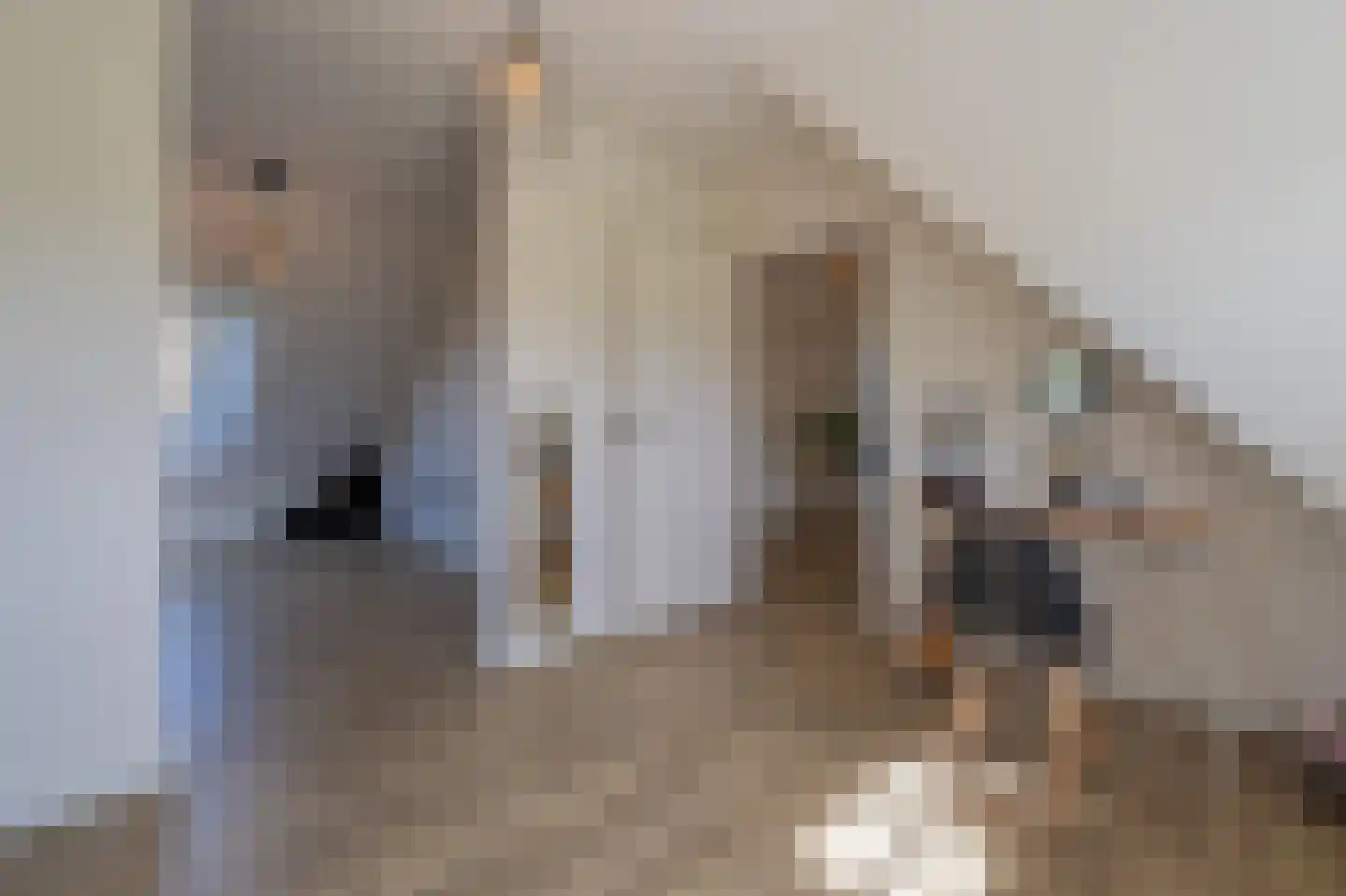 Hoevenweg 16 Dalfsen thumbnail 35