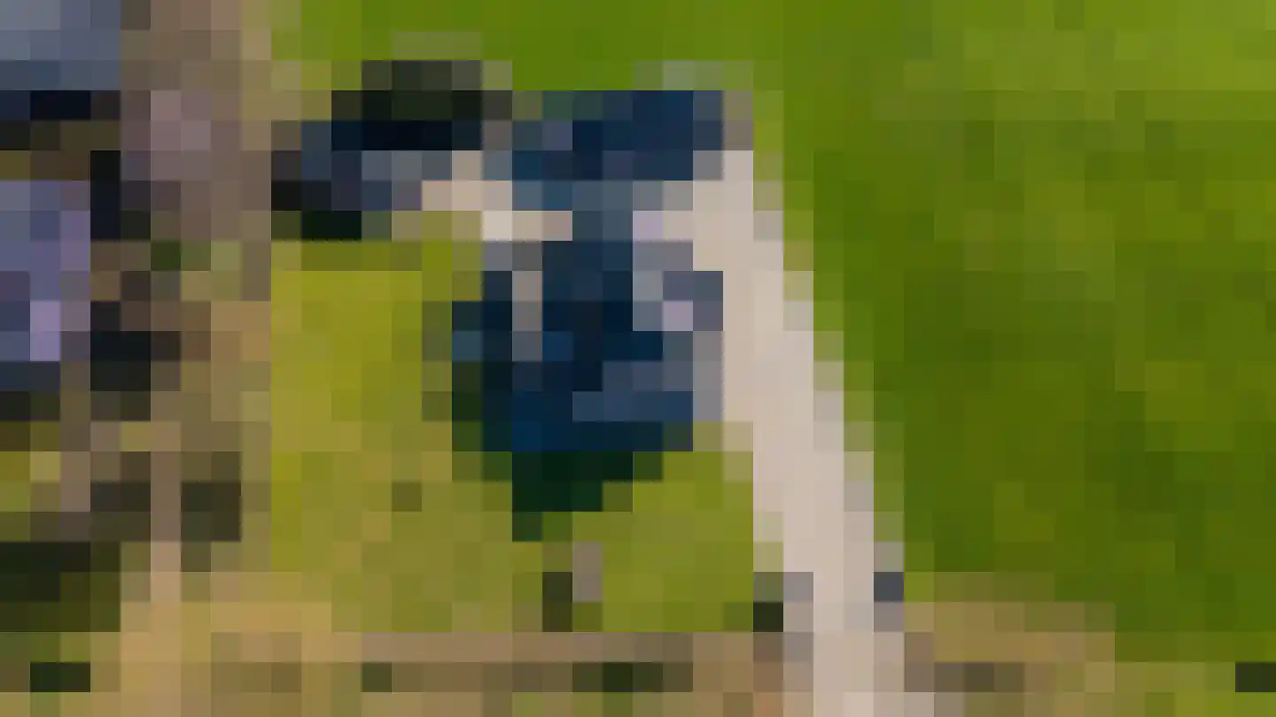 Hoevenweg 16 Dalfsen thumbnail 4