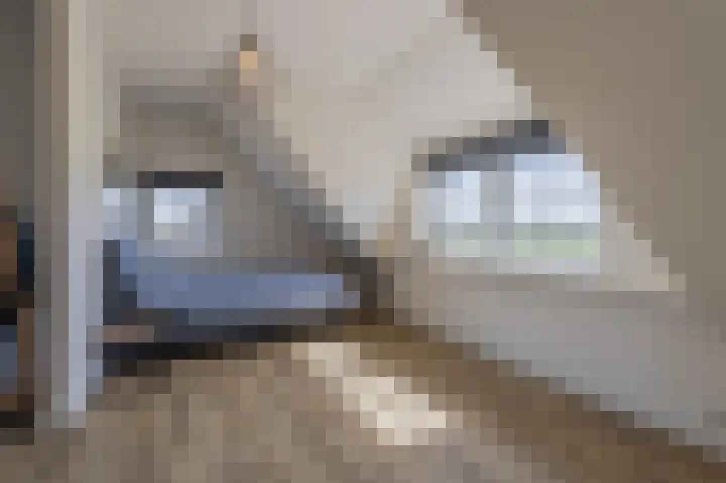 Hoevenweg 16 Dalfsen thumbnail 43